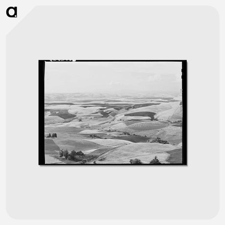 アートポストカード-Wheat Fields, Nez Perce County, Idaho
 - ラッセル リー Postcard.