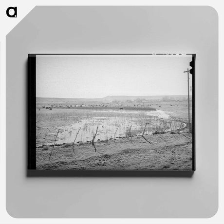 アートパネル-Flood Irrigation in the Little Colorado River Valley
 - ラッセル リー Canvas.