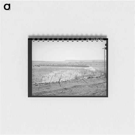 アートメモ帳-Flood Irrigation in the Little Colorado River Valley
 - ラッセル リー Memo.