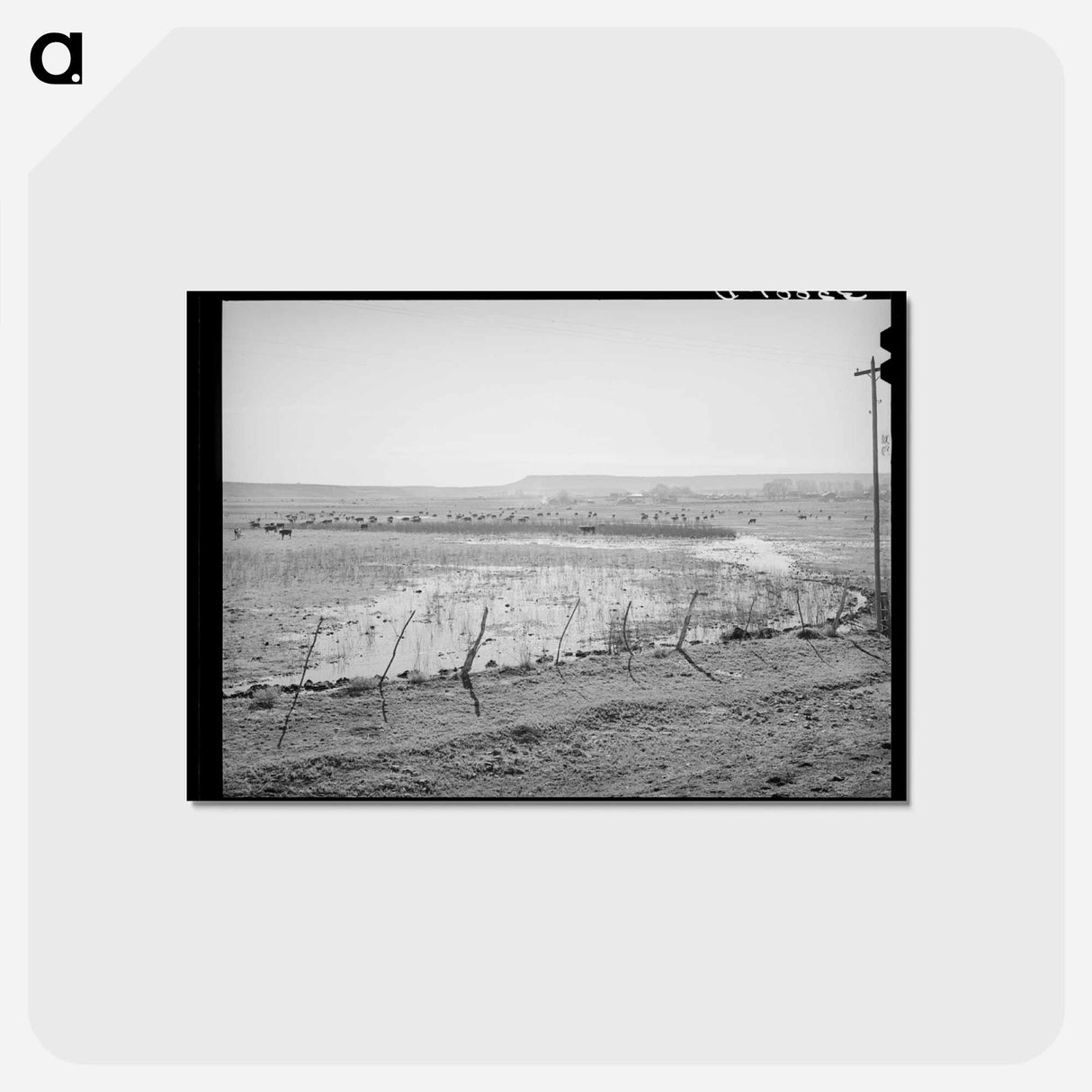 アートポストカード-Flood Irrigation in the Little Colorado River Valley
 - ラッセル リー Postcard.