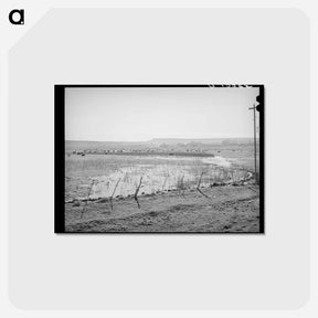 アートポストカード-Flood Irrigation in the Little Colorado River Valley
 - ラッセル リー Postcard.