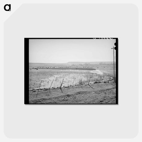 アートポストカード-Flood Irrigation in the Little Colorado River Valley
 - ラッセル リー Postcard.