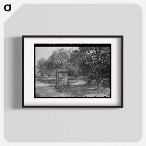 アートポスター-Entrance to Trailer Park Amid Orange Groves, McAllen, Texas
 - ラッセル リー Poster.