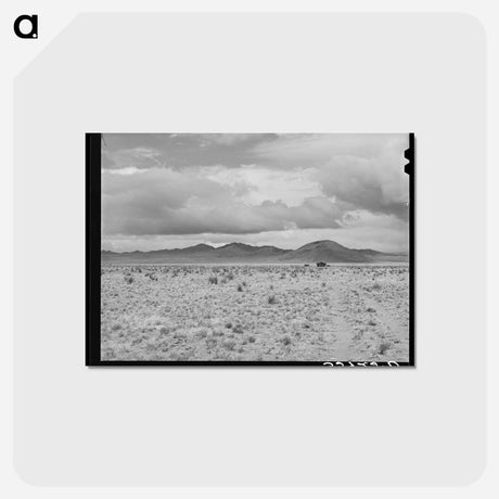 アートポストカード-Desert Landscape, Socorro County, New Mexico
 - ラッセル リー Postcard.