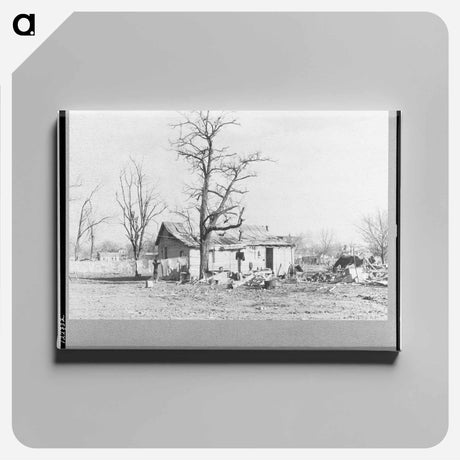 アートパネル-Shawneetown Flood Damage
 - ラッセル リー Canvas.