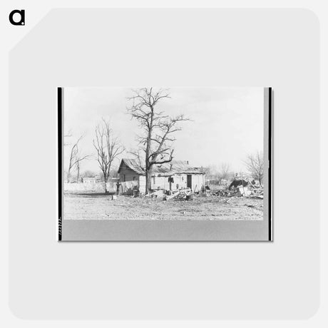 アートポストカード-Shawneetown Flood Damage
 - ラッセル リー Postcard.