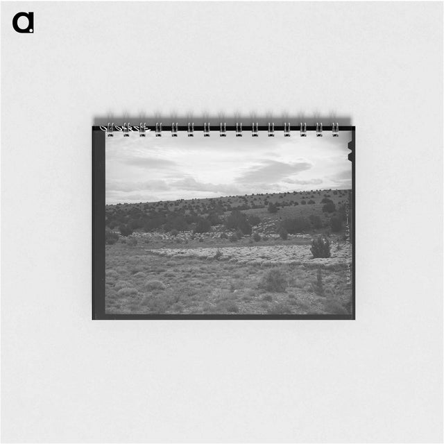 アートメモ帳-The Candelarias, Sheep Operators at Concho, Arizona
 - ラッセル リー Memo.