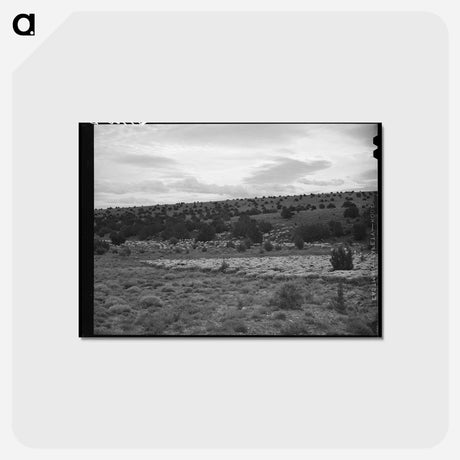 アートポストカード-The Candelarias, Sheep Operators at Concho, Arizona
 - ラッセル リー Postcard.
