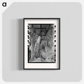 アートポスター-Goats in Hay Barn, Kimble County, Texas
 - ラッセル リー Poster.