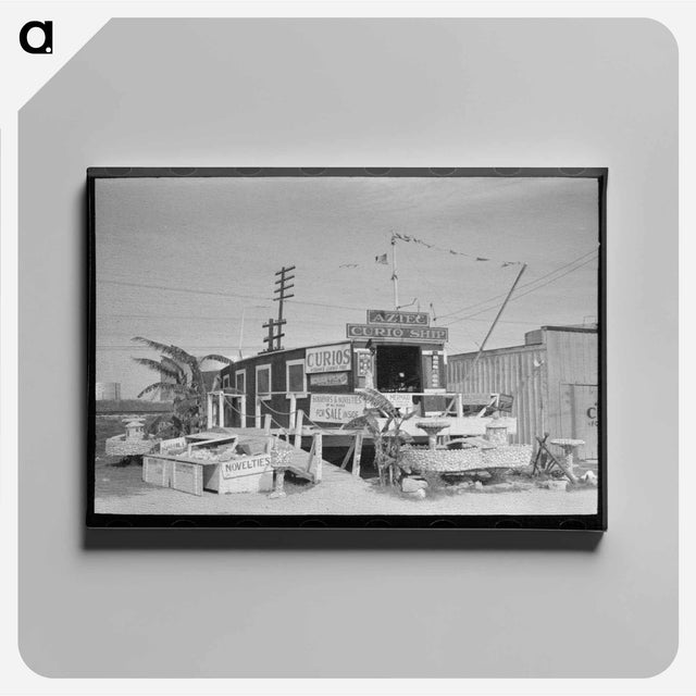 アートパネル-Curio Shop, Corpus Christi, Texas
 - ラッセル リー Canvas.