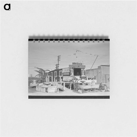 アートメモ帳-Curio Shop, Corpus Christi, Texas
 - ラッセル リー Memo.