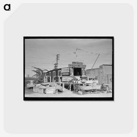 アートポストカード-Curio Shop, Corpus Christi, Texas
 - ラッセル リー Postcard.