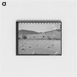 アートメモ帳-Wheat Field on Spanish-American Farm Near Holman, New Mexico
 - ラッセル リー Memo.