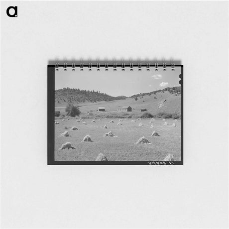 アートメモ帳-Wheat Field on Spanish-American Farm Near Holman, New Mexico
 - ラッセル リー Memo.