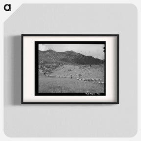 アートポスター-Driving Fat Lambs to Cimarron, Colorado
 - ラッセル リー Poster.