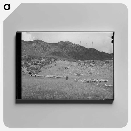 アートパネル-Driving Fat Lambs to Cimarron, Colorado
 - ラッセル リー Canvas.