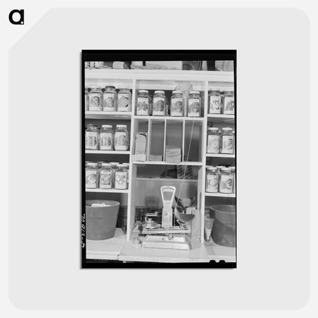 アートポストカード-Garden Seed for Sale, Ontario, Oregon
 - ラッセル リー Postcard.