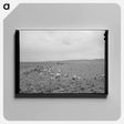 アートパネル-Pea Picking, Canyon County, Idaho
 - ラッセル リー Canvas.