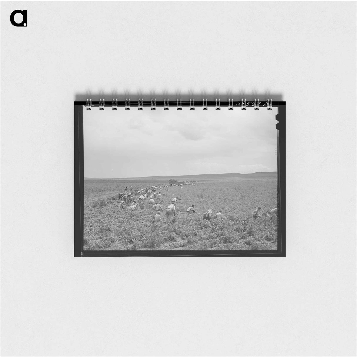 アートメモ帳-Pea Picking, Canyon County, Idaho
 - ラッセル リー Memo.