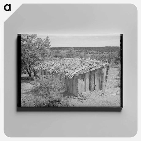 アートパネル-Slab Shed, Pie Town, New Mexico
 - ラッセル リー Canvas.