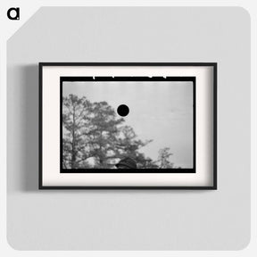 アートポスター-Farmer with His Dog in Cut-Over Area, New Jersey
 - ラッセル リー Poster.