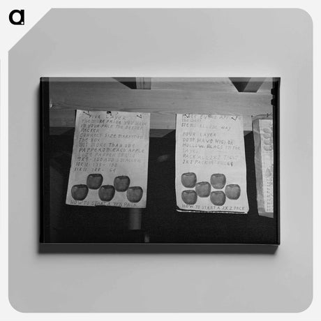 アートパネル-Charts at the Apple Packers School, FSA Migratory Labor Camp, Yakima, Washington
 - ラッセル リー Canvas.