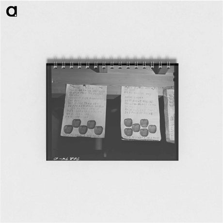 アートメモ帳-Charts at the Apple Packers School, FSA Migratory Labor Camp, Yakima, Washington
 - ラッセル リー Memo.
