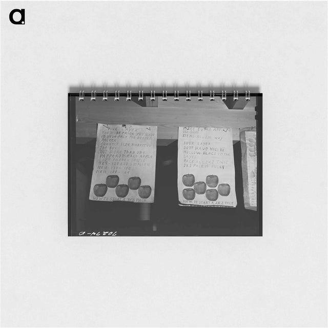 アートメモ帳-Charts at the Apple Packers School, FSA Migratory Labor Camp, Yakima, Washington
 - ラッセル リー Memo.
