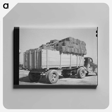 アートパネル-Truckload of Hay at Livestock Auction, San Angelo, Texas
 - ラッセル リー Canvas.