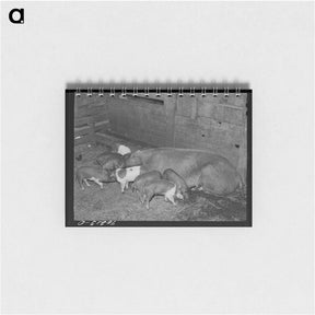 アートメモ帳-Pigs on Farm, Yakima County
 - ラッセル リー Memo.