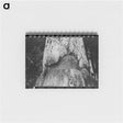 アートメモ帳-Trunk of Fir Tree, Cowlitz County, Washington
 - ラッセル リー Memo.
