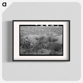 アートポスター-Prospector's Workings, Cochise County, Arizona
 - ラッセル リー Poster.