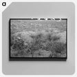アートパネル-Prospector's Workings, Cochise County, Arizona
 - ラッセル リー Canvas.