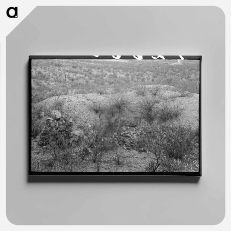 アートパネル-Prospector's Workings, Cochise County, Arizona
 - ラッセル リー Canvas.