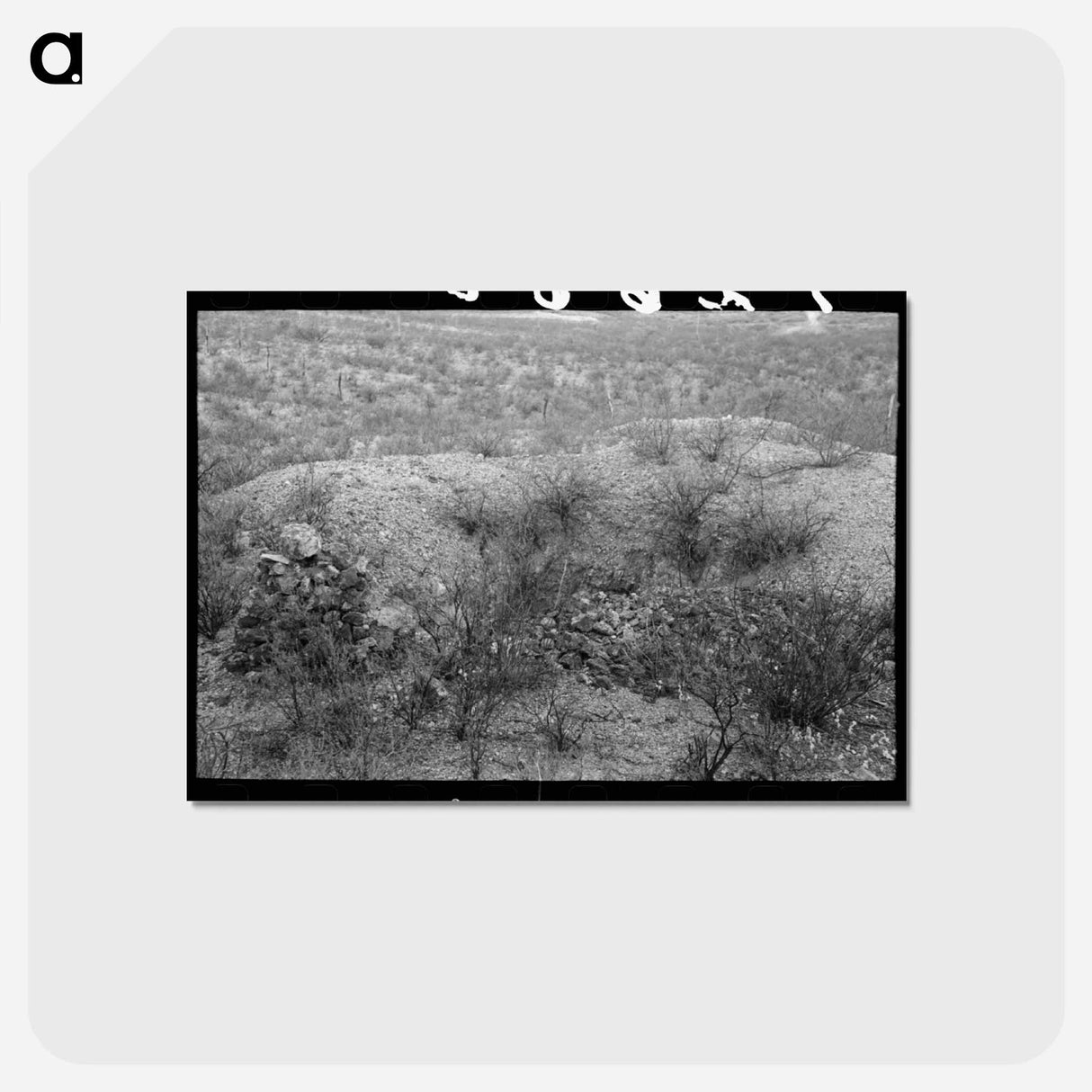 アートポストカード-Prospector's Workings, Cochise County, Arizona
 - ラッセル リー Postcard.