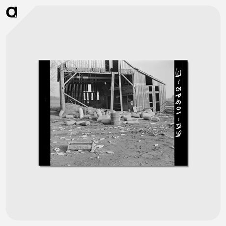 アートポストカード-Flood Aftermath, Posey County, Indiana
 - ラッセル リー Postcard.