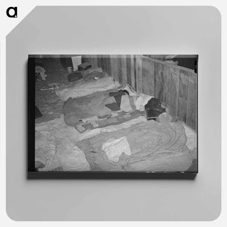 アートパネル-Cowboys Asleep in Cattle Show Barns, San Angelo Fat Stock Show
 - ラッセル リー Canvas.
