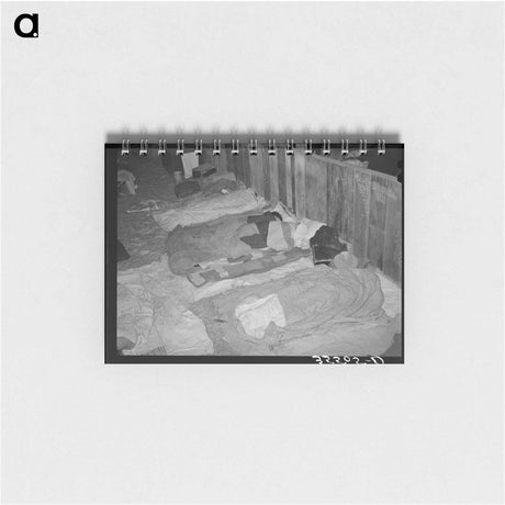 アートメモ帳-Cowboys Asleep in Cattle Show Barns, San Angelo Fat Stock Show
 - ラッセル リー Memo.