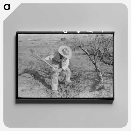 アートパネル-Mexican Chopping Mesquite, El Indio, Texas
 - ラッセル リー Canvas.