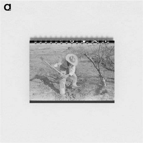 アートメモ帳-Mexican Chopping Mesquite, El Indio, Texas
 - ラッセル リー Memo.