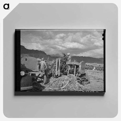 アートパネル-Extracting Juice from Cane, Ivins, Washington County, Utah
 - ラッセル リー Canvas.