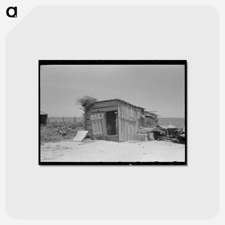 アートポストカード-Sharecropper's Shed, New Madrid County, Missouri
 - ラッセル リー Postcard.