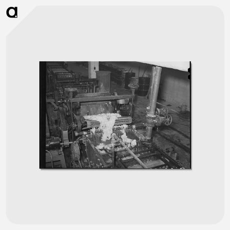 アートポストカード-Wool Scouring Process
 - ラッセル リー Postcard.