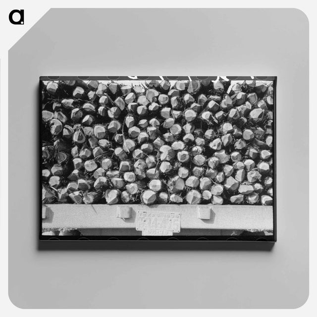 アートパネル-Cedar Fence Posts on Truck, Clifton, Texas
 - ラッセル リー Canvas.