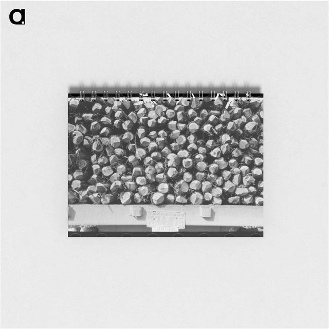 アートメモ帳-Cedar Fence Posts on Truck, Clifton, Texas
 - ラッセル リー Memo.