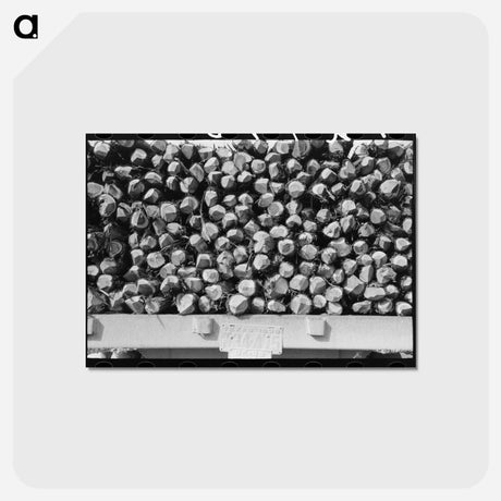 アートポストカード-Cedar Fence Posts on Truck, Clifton, Texas
 - ラッセル リー Postcard.