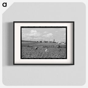 アートポスター-Pea Pickers Camp, Nampa, Idaho
 - ラッセル リー Poster.