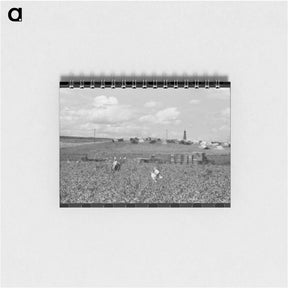 アートメモ帳-Pea Pickers Camp, Nampa, Idaho
 - ラッセル リー Memo.