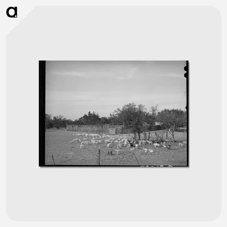 アートポストカード-Children Before a Stockade
 - ラッセル リー Postcard.