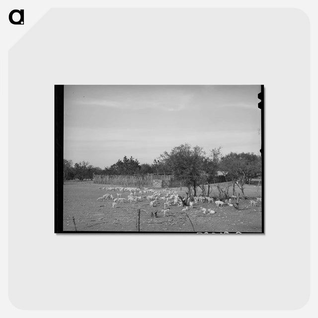 アートポストカード-Children Before a Stockade
 - ラッセル リー Postcard.